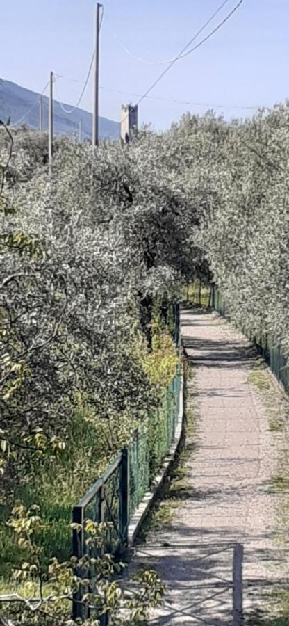 Appartamento Leccino Malcesine Exterior photo