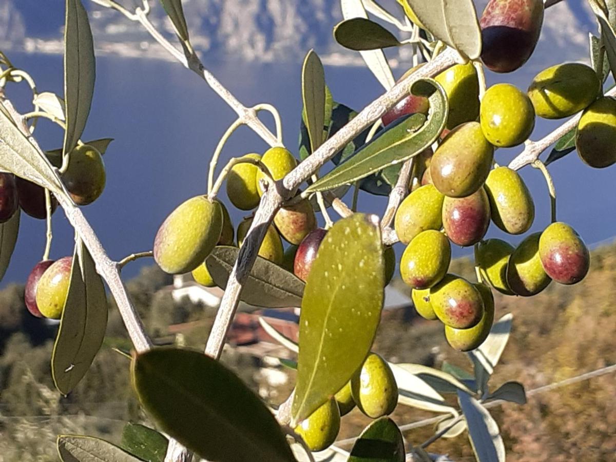 Appartamento Leccino Malcesine Exterior photo