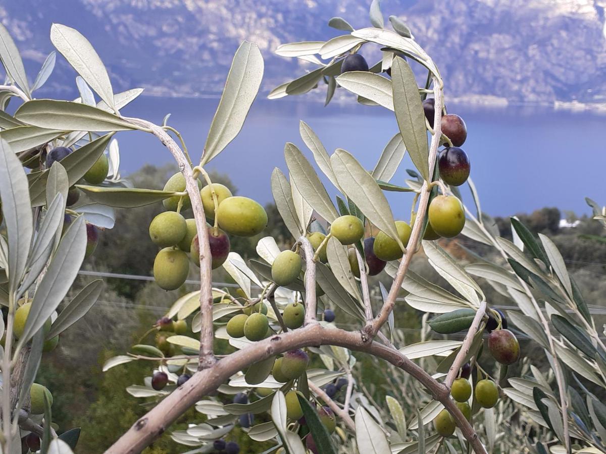 Appartamento Leccino Malcesine Exterior photo